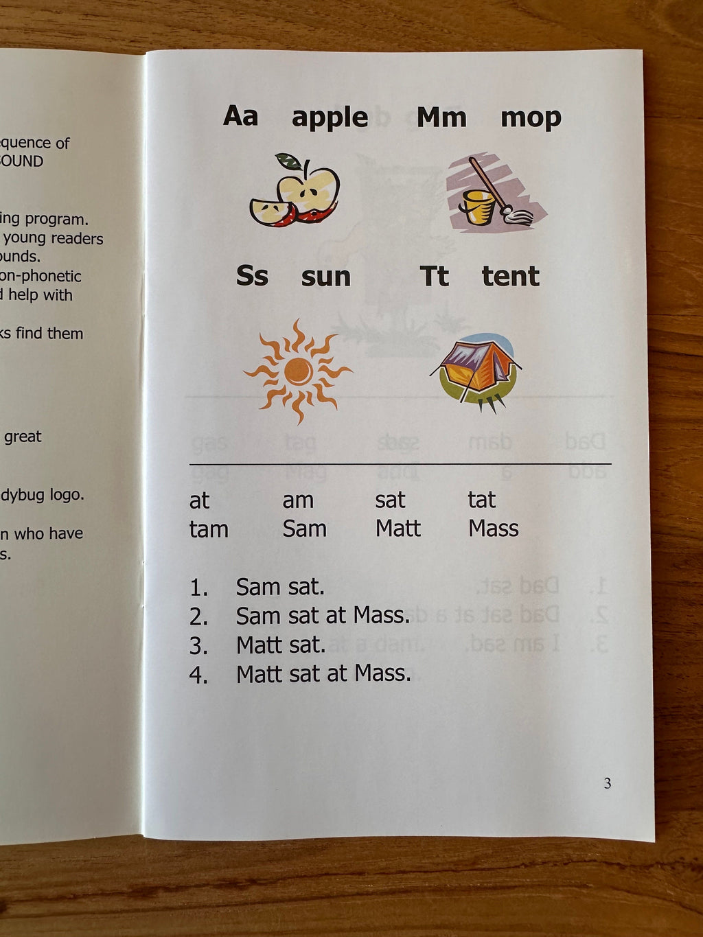 Ladybug Phonetic Readers: 6 Booklet Set, Early Reading, Based on Professor Phonics