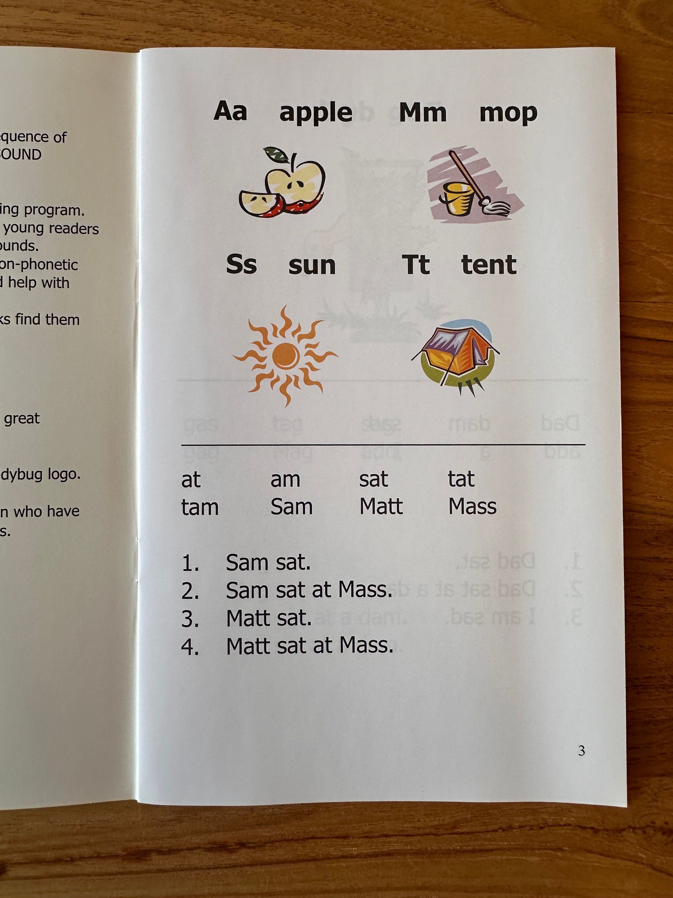 Ladybug Phonetic Readers: 6 Booklet Set, Early Reading, Based on Professor Phonics
