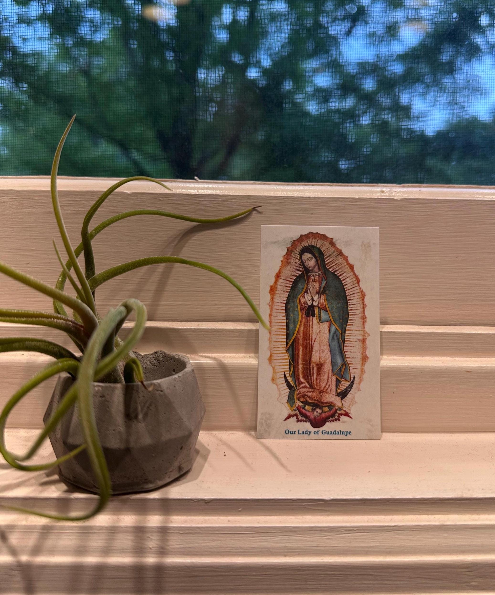 Our Lady of Guadalupe Holy Card: Catholic Prayer for Country & Family