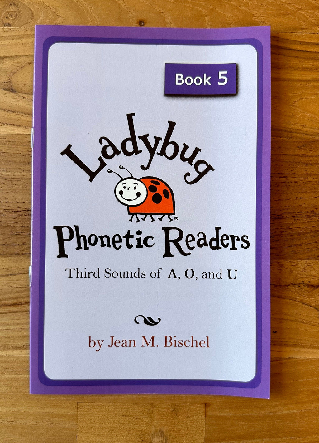 Ladybug Phonetic Readers: 6 Booklet Set, Early Reading, Based on Professor Phonics