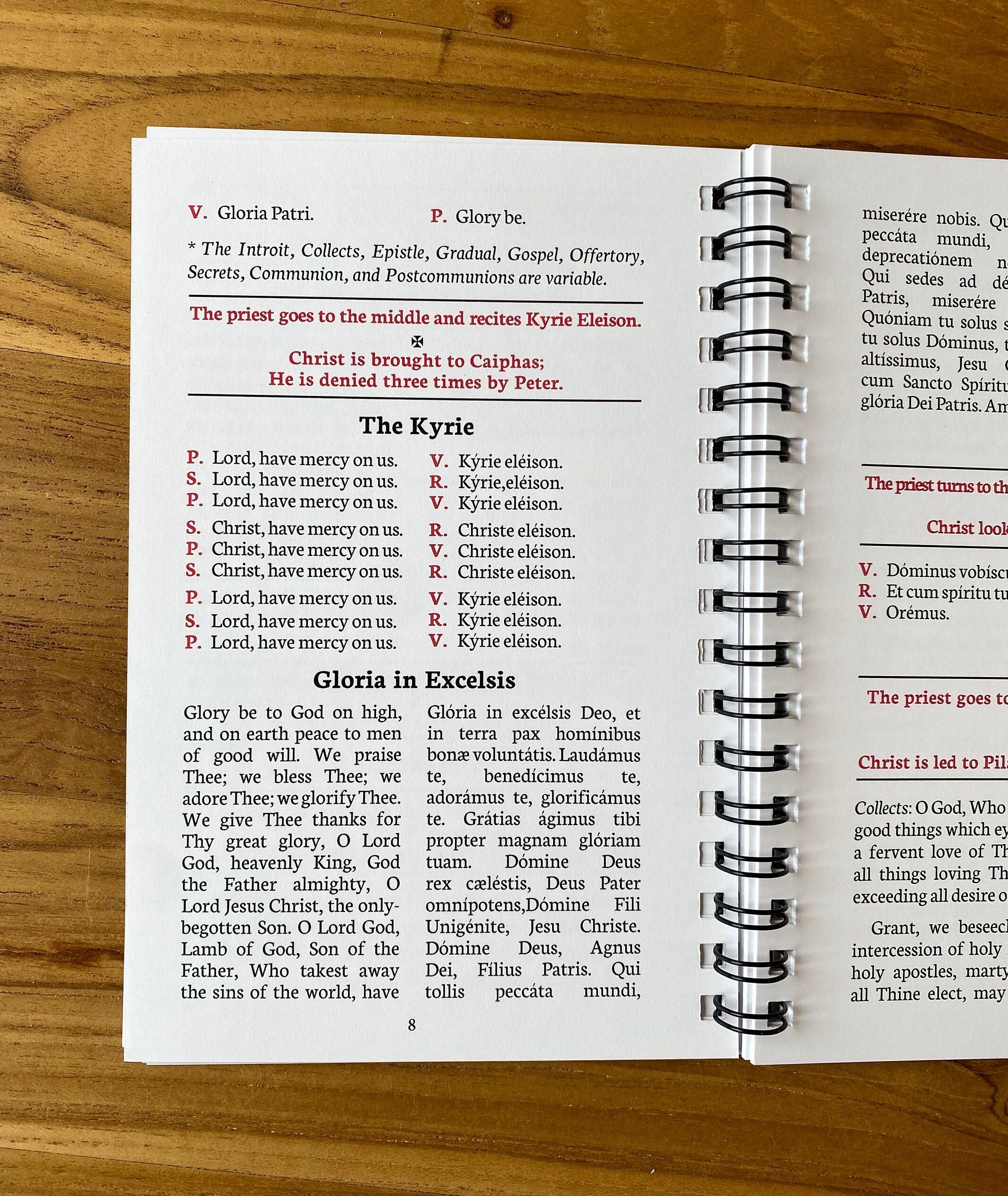 Ordinary of the Traditional Latin Mass Missal in English & Latin, Catholic, Fr. Lasance