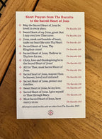 Sacred Heart of Jesus Indulgences Holy Card: Catholic Prayers