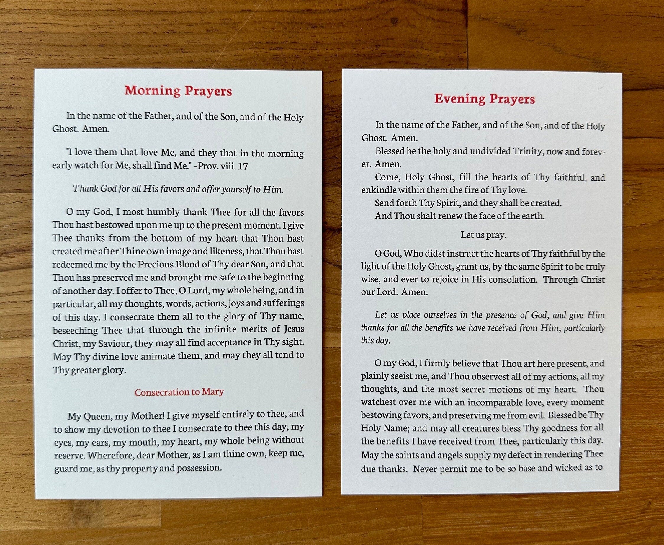 Catholic Prayer Bundle: Rosary Book, Immaculata Booklet & Holy Cards