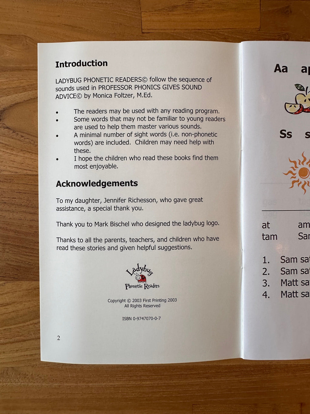 Ladybug Phonetic Readers: 6 Booklet Set, Early Reading, Based on Professor Phonics