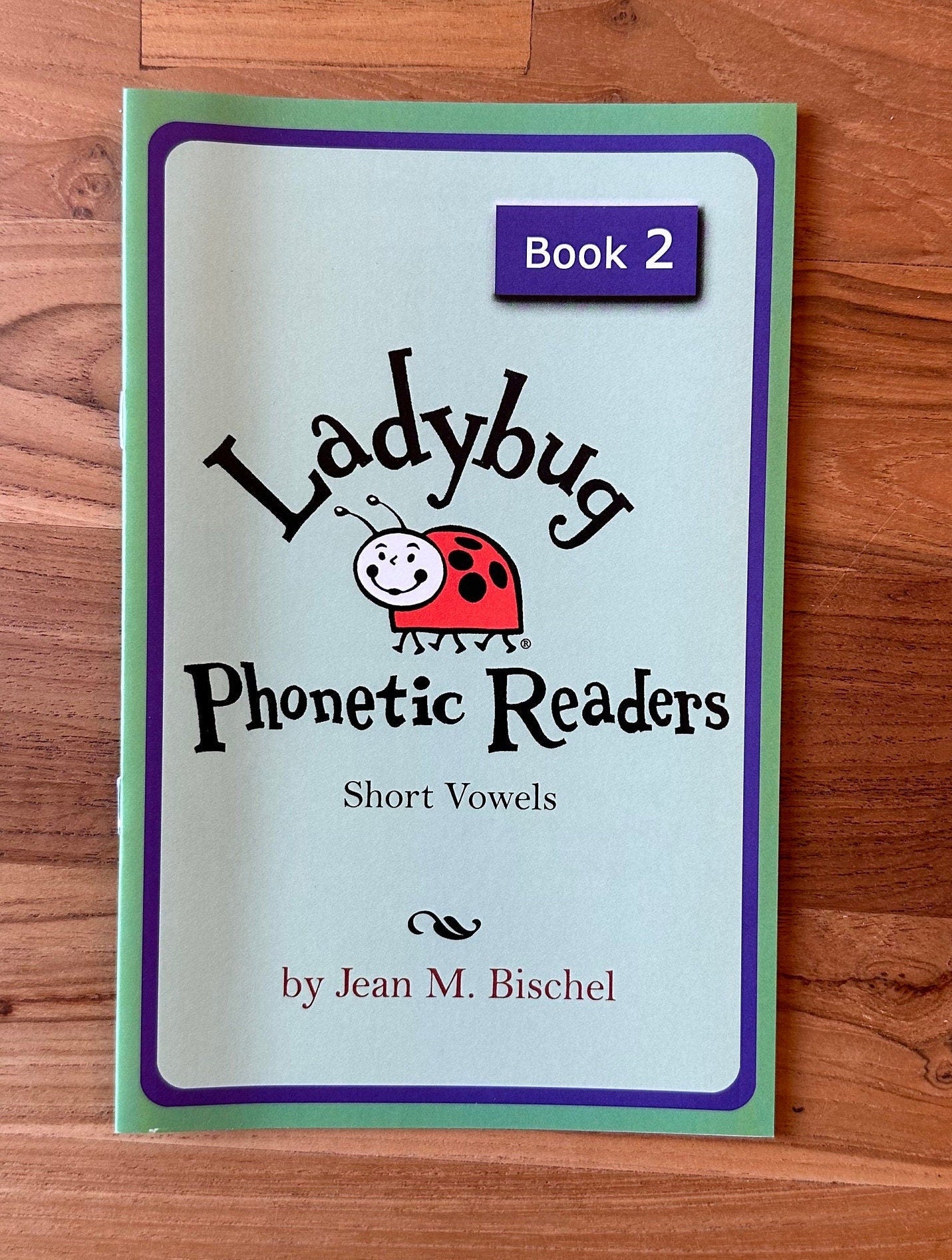 Ladybug Phonetic Readers: 6 Booklet Set, Early Reading, Based on Professor Phonics